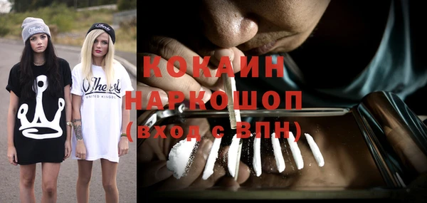 спиды Богородицк
