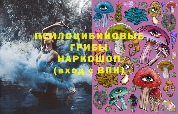 спиды Богородицк