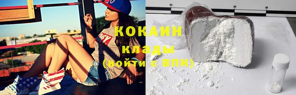 спиды Богородицк