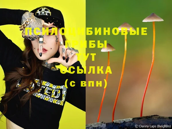 ALPHA PVP Богородск